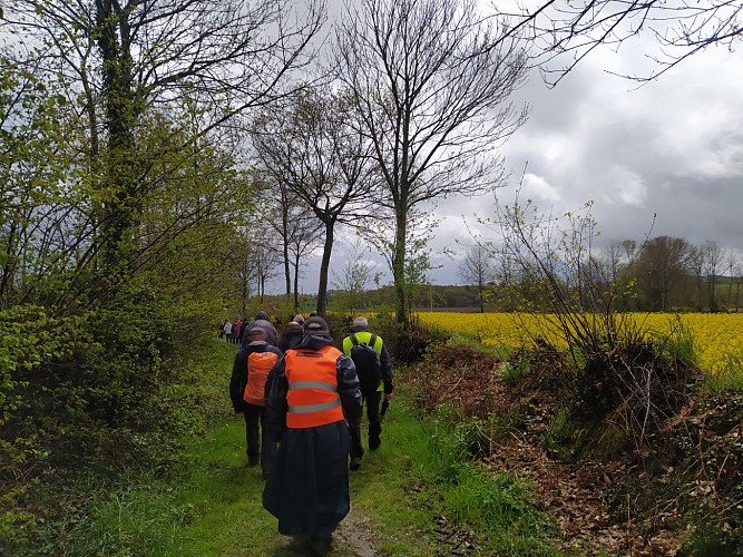 LANDIVY - CIRCUIT LA VALLÉE DU MOULIN DU PRÉ - N°27