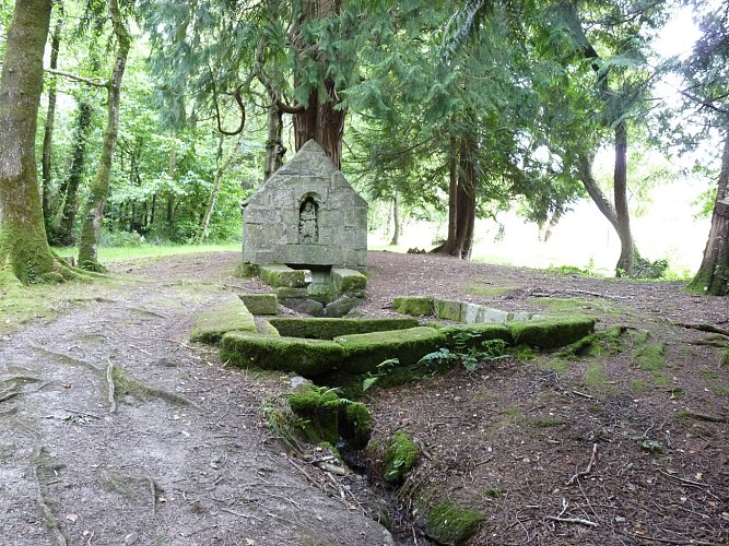 Le Bois de Saint-Gildas (VTT)