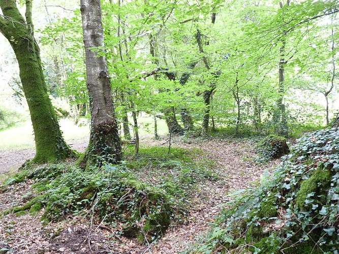 Le Bois de Saint-Gildas (VTT)