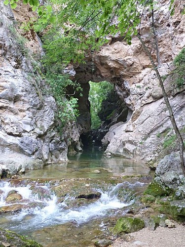 Escragnolles la SIAGNE