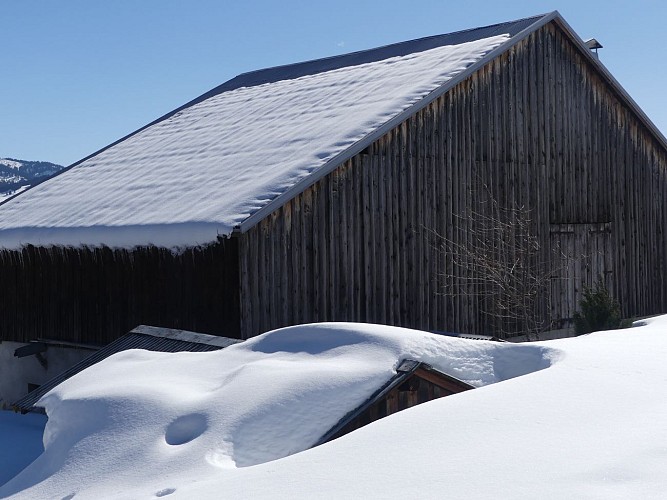 Snowshoeing itinerary : The Carrés loop_Saint-Nicolas-la-Chapelle