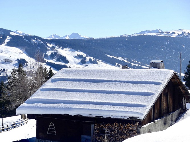 Snowshoeing itinerary : The Carrés loop_Saint-Nicolas-la-Chapelle