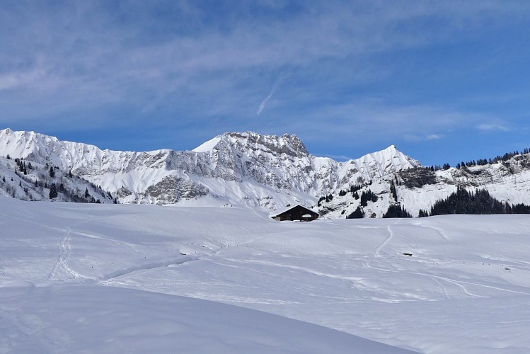 Snowshoeing itinerary : The Carrés loop_Saint-Nicolas-la-Chapelle
