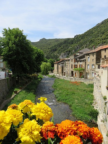 Montagne Noire - circuits entre gouffre et fôrets
