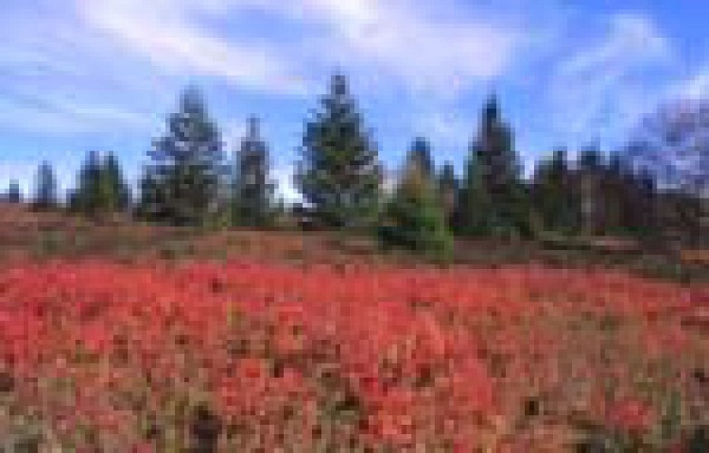 Le Gazon du Faing par la cascade