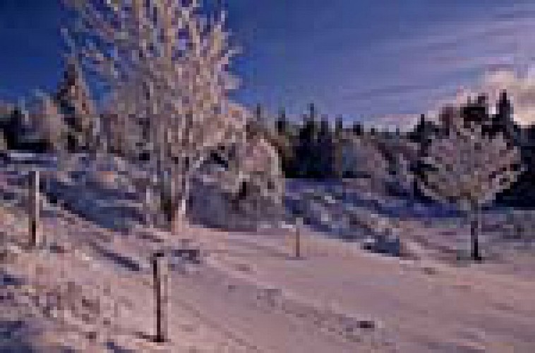 Le Gazon du Faing par la cascade