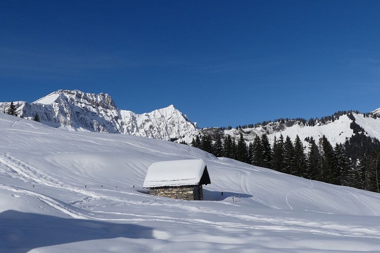 Route für Schneeschuhwanderer : Tré le Sez_Saint-Nicolas-la-Chapelle