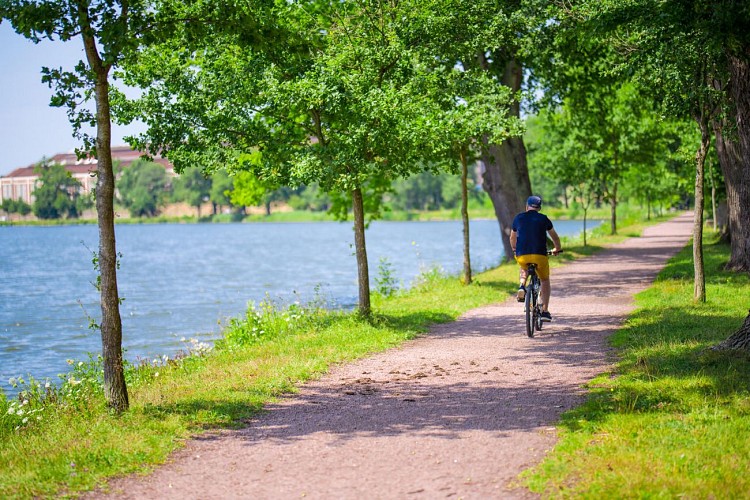 Les berges de l'étang