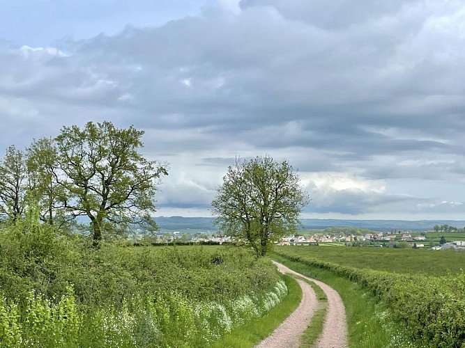 À travers les bocages