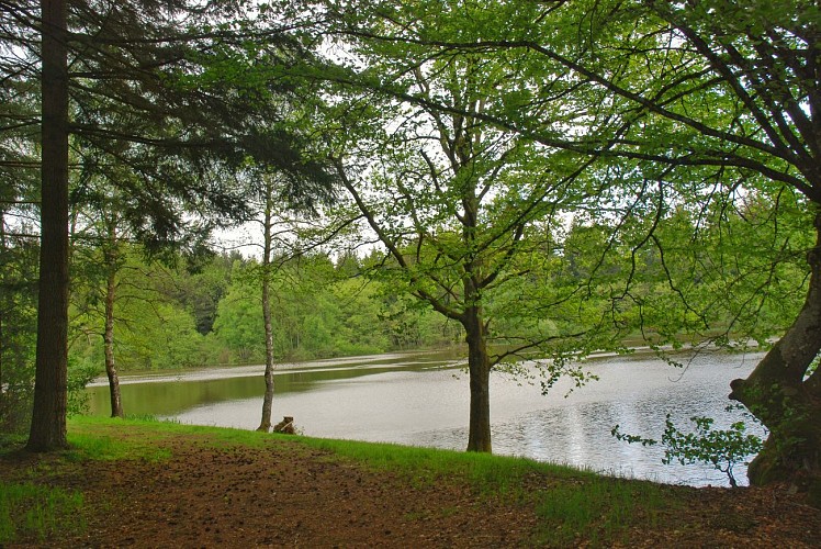 Etang du Prieuré