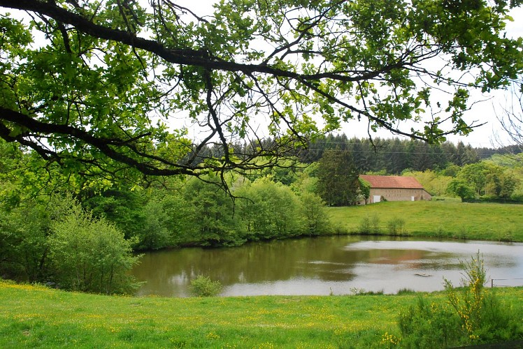 Etang du Champ Trois du Bas