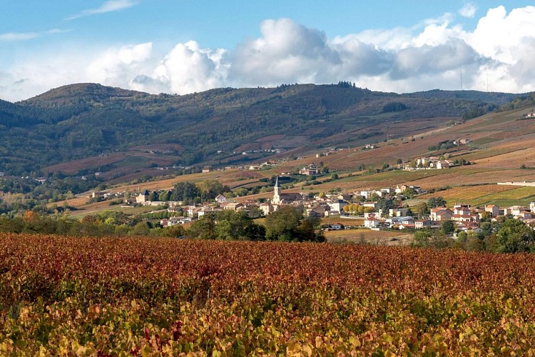 la-chapelle-de-guinchay-village-randonnee-michel-falcotet-3782