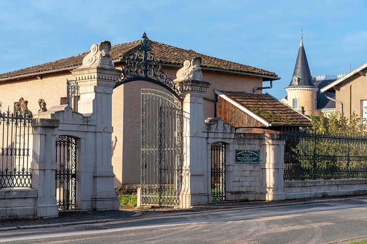 la-chapelle-de-guinchay-chateau-randonnee-michel-falcotet-3847