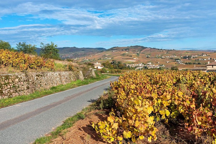 la-chapelle-de-guinchay-paysage-rando-michel-falcotet-3883