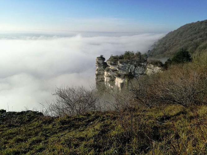 Roche à tête d'homme