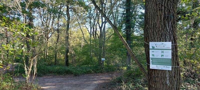 La Végétal