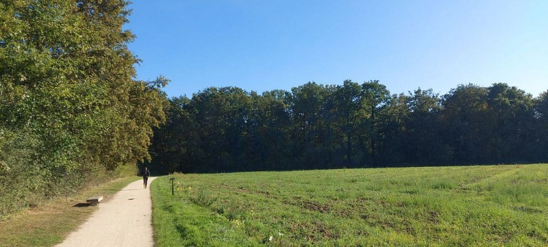 La Végétal