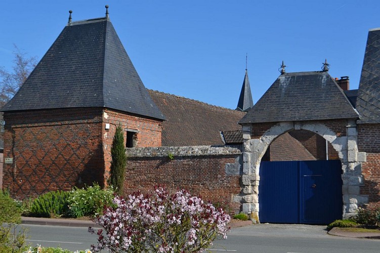 Sur la piste du loup