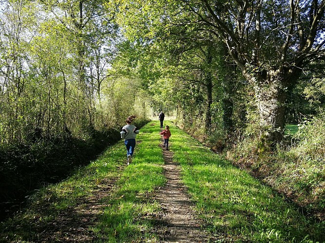 Circuit "Les chemins creux " Casson