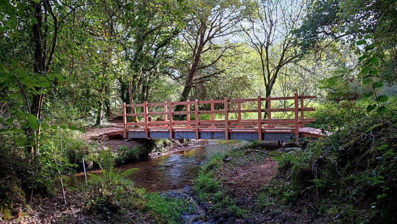 Passerelle sur le Yar