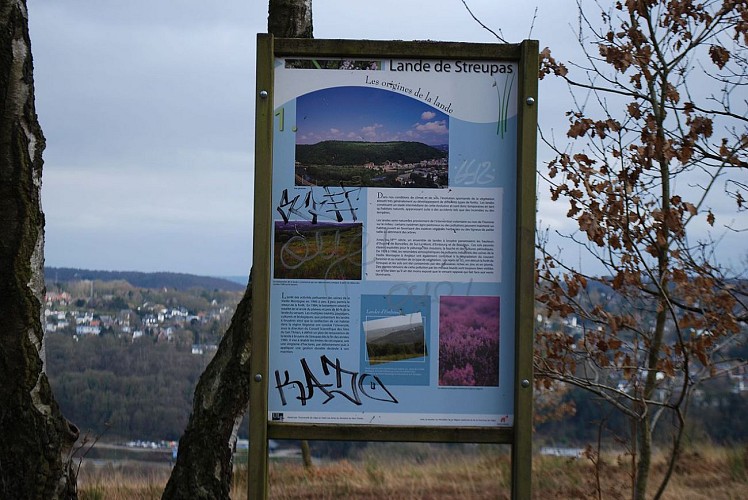 Panneau explicatif de la Lande de Streupas