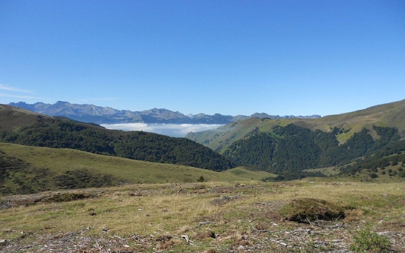 VTT-AUBISQUE---LOUVIE-SOUBIRON1440Vers-le-col-de-Louvie-CCVO-2