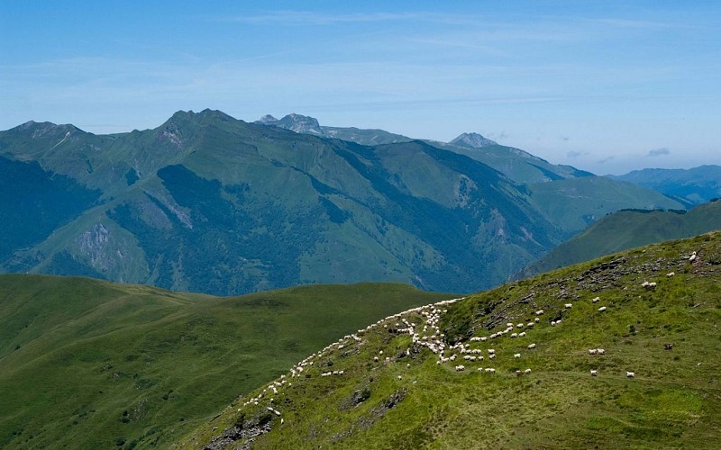 VTT-AUBISQUE---LOUVIE-SOUBIRON1440Aubisque0256-E-FOLLET-2