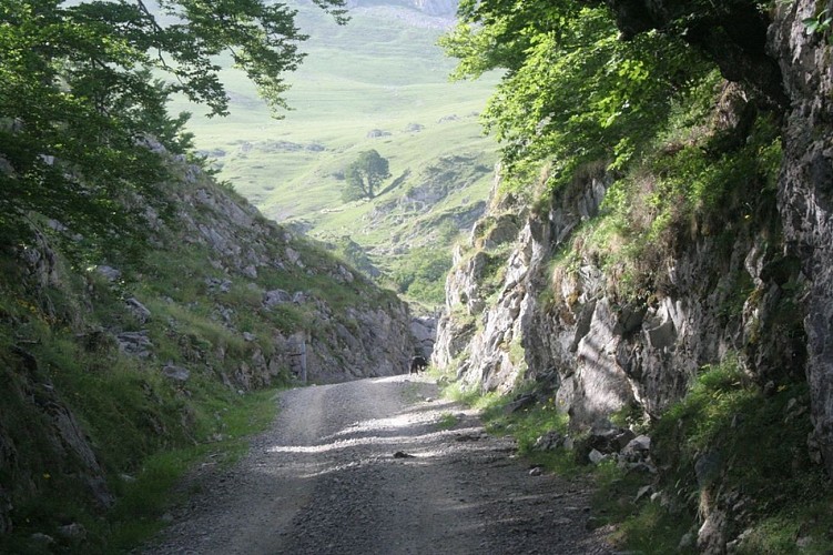 boucle-velo-tour-de-seserite-1