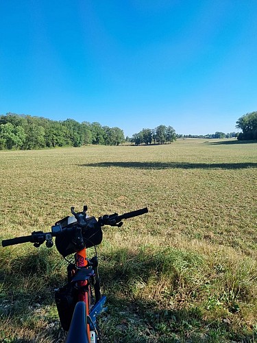 Les grandes terres de Marboz