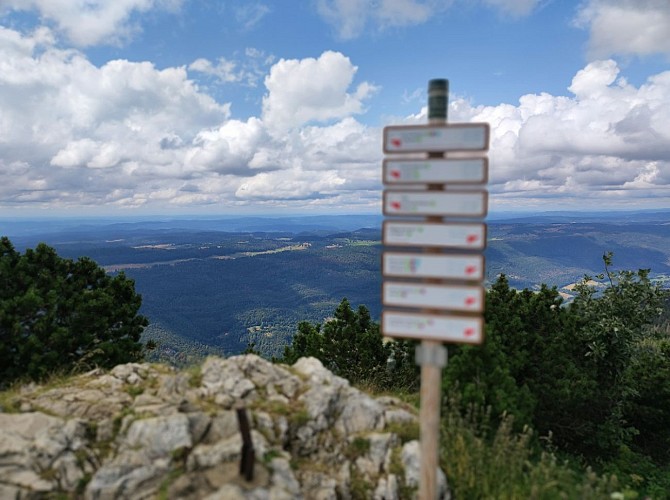 Wandern auf eigene Faust : Mijoux - Chézery-Forens  durch die Haute Chaîne du Jura
