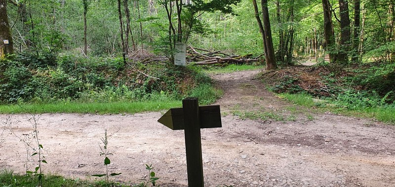 Arboretum d'Etrez - ND de Bourbouillon