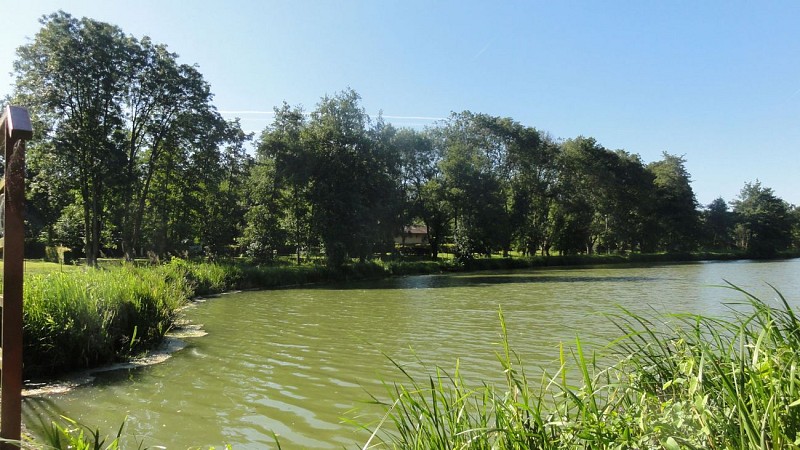 Le bocage de Cormoz - Etang de Mépillat