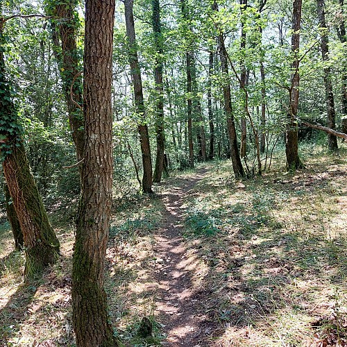 Circuit Grand tour du Domaine du Gasseau