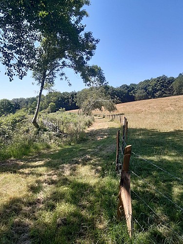 Circuit Grand tour du Domaine du Gasseau 