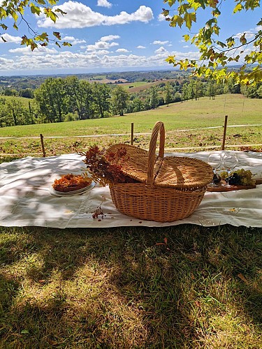 Pique Nique à Armous-et-Cau