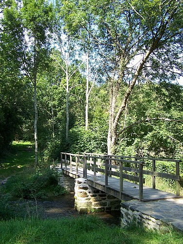 Circuit "La croix à coquilles"