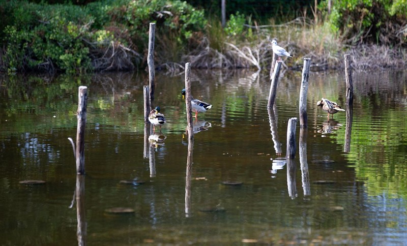 51464977456_0d7955dc9a_k