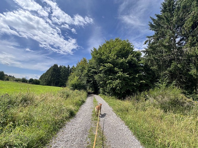 Photo-moulin-dochamps-sam