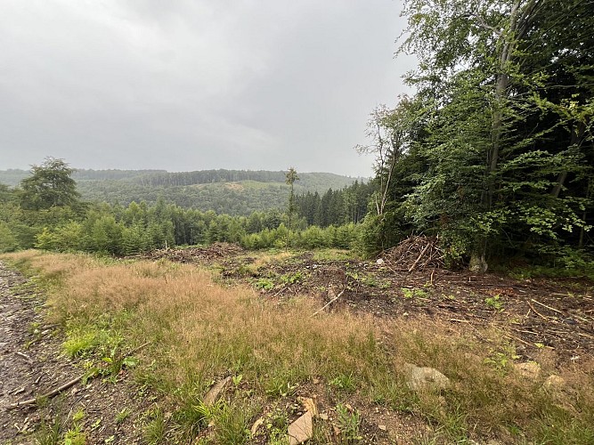 Photo-dochamps-pluie