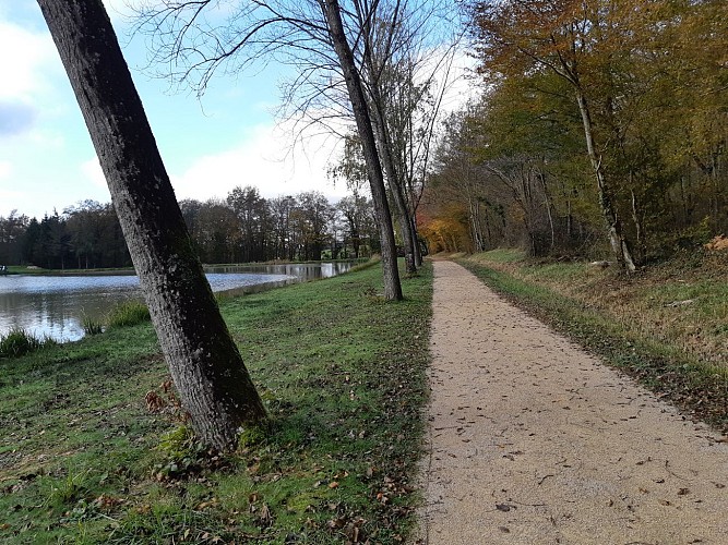 Coligny - Etang de Fougemagne