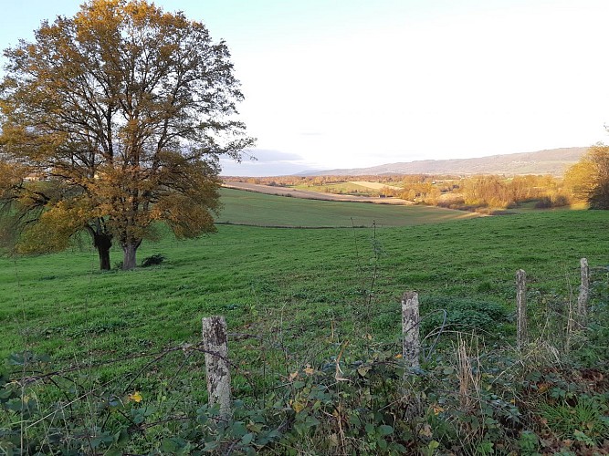 Balade autour de Pirajoux