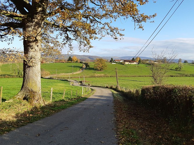 Balade autour de Pirajoux