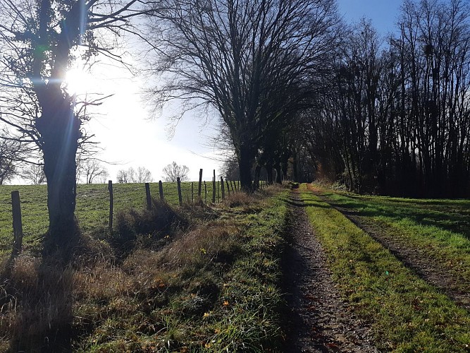 Sur les chemins de St Didier d'Aussiat