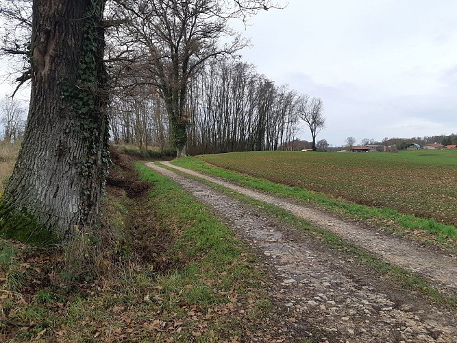 Sur les chemins de St Didier d'Aussiat