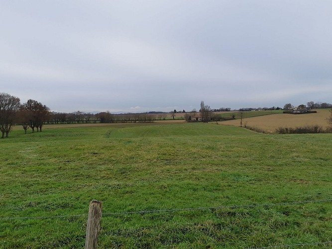 Marsonnas et le Bois de la Déserte