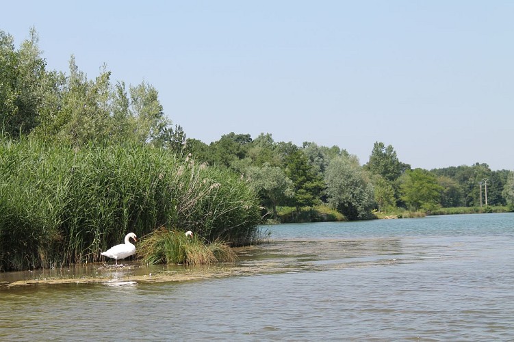 Tour des lacs - Chemin de la Reyssouze