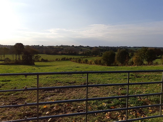Marboz - Prairie de Grosbost