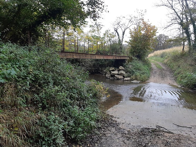 Vallée du Sevron, entre Marboz et Bény