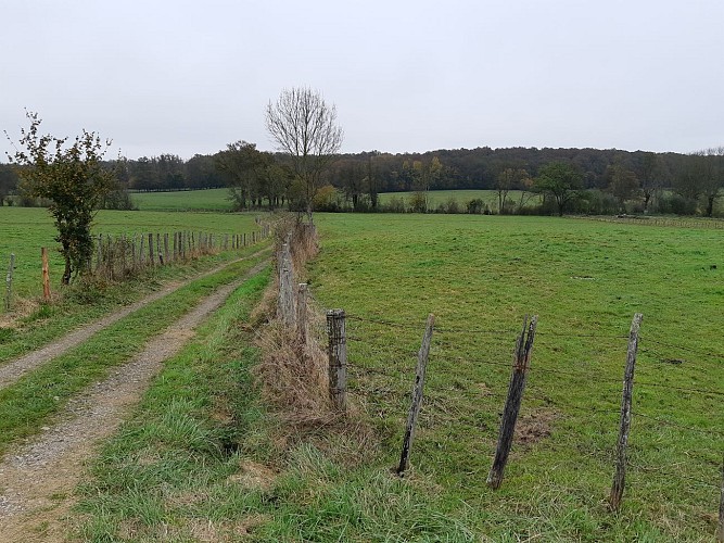 Vallée du Sevron, entre Marboz et Bény
