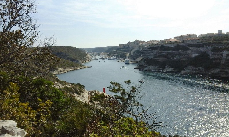 Bonifacio 